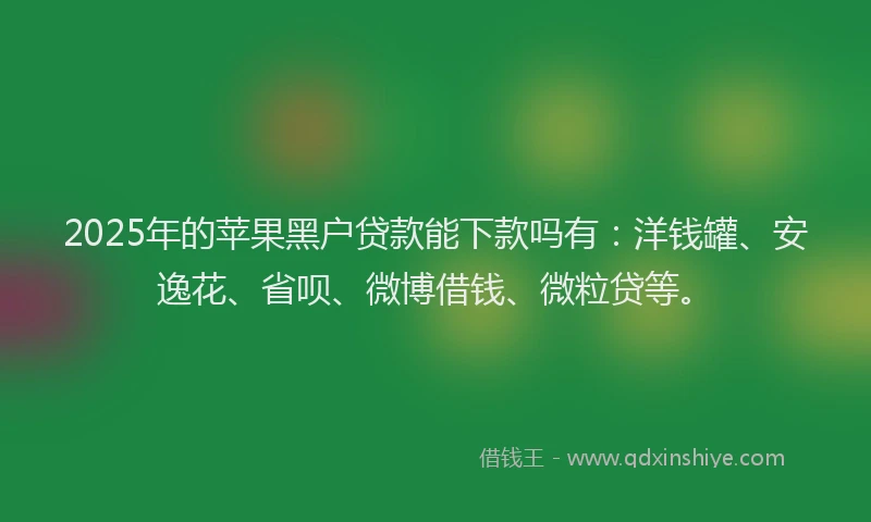 2025年的苹果黑户贷款能下款吗有：洋钱罐、安逸花、省呗、微博借钱、微粒贷等。