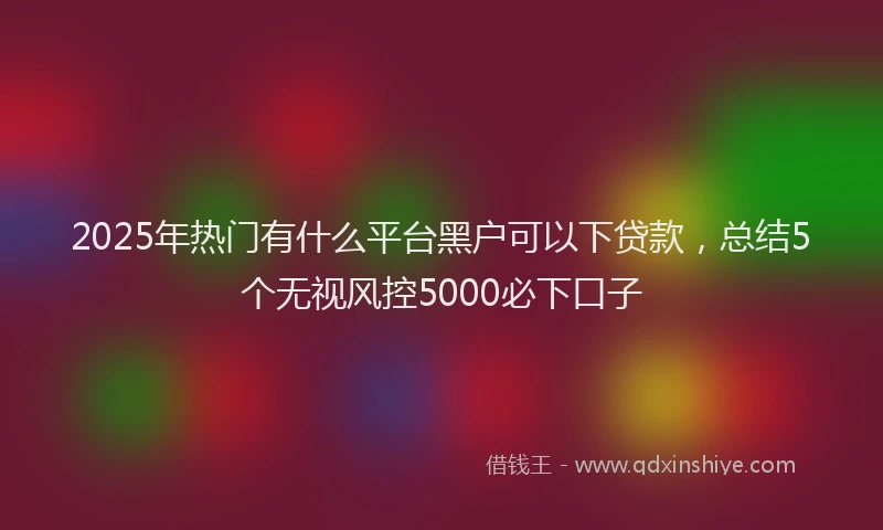 2025年热门有什么平台黑户可以下贷款，总结5个无视风控5000必下口子