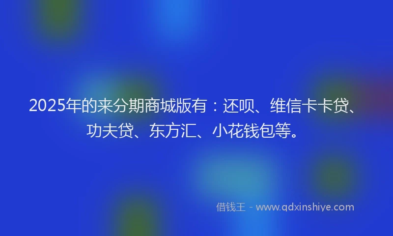 2025年的来分期商城版有：还呗、维信卡卡贷、功夫贷、东方汇、小花钱包等。