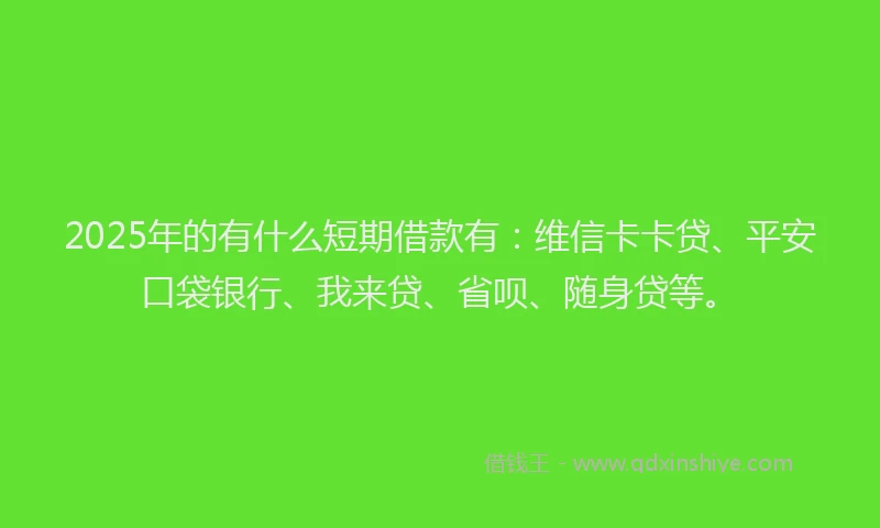 2025年的有什么短期借款有：维信卡卡贷、平安口袋银行、我来贷、省呗、随身贷等。