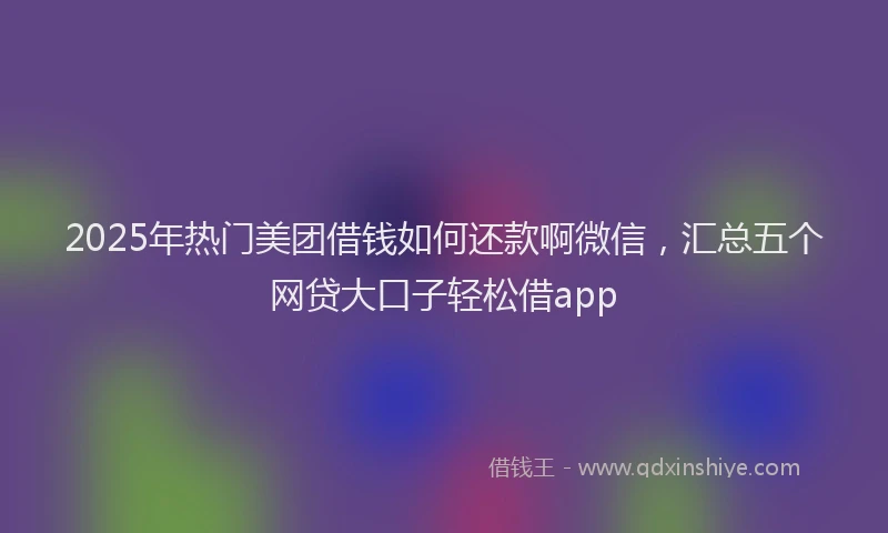 2025年热门美团借钱如何还款啊微信，汇总五个网贷大口子轻松借app
