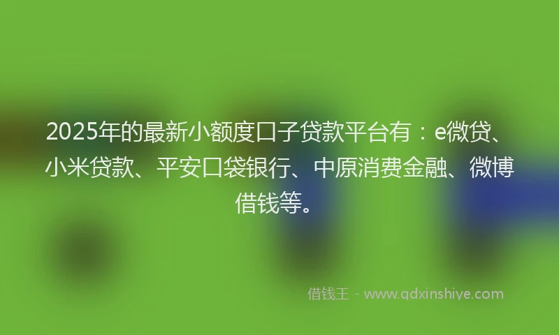 2025年的最新小额度口子贷款平台有：e微贷、小米贷款、平安口袋银行、中原消费金融、微博借钱等。