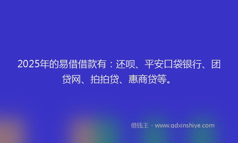 2025年的易借借款有：还呗、平安口袋银行、团贷网、拍拍贷、惠商贷等。