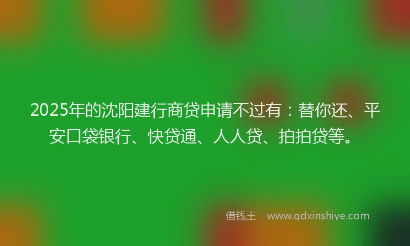 2025年的沈阳建行商贷申请不过有：替你还、平安口袋银行、快贷通、人人贷、拍拍贷等。