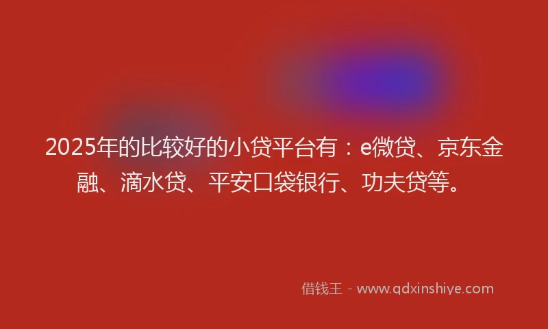 2025年的比较好的小贷平台有：e微贷、京东金融、滴水贷、平安口袋银行、功夫贷等。