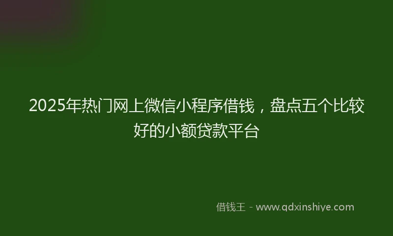 2025年热门网上微信小程序借钱，盘点五个比较好的小额贷款平台