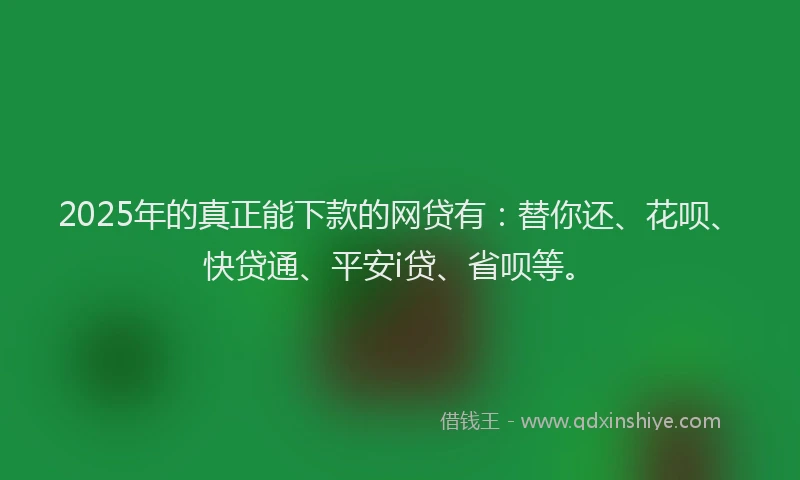 2025年的真正能下款的网贷有：替你还、花呗、快贷通、平安i贷、省呗等。