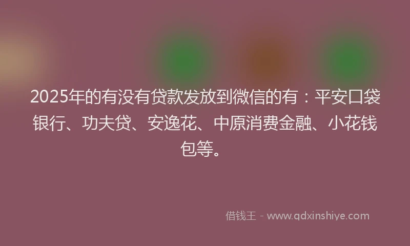 2025年的有没有贷款发放到微信的有：平安口袋银行、功夫贷、安逸花、中原消费金融、小花钱包等。
