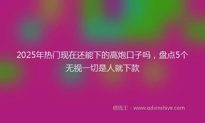 2025年热门现在还能下的高炮口子吗，盘点5个无视一切是人就下款