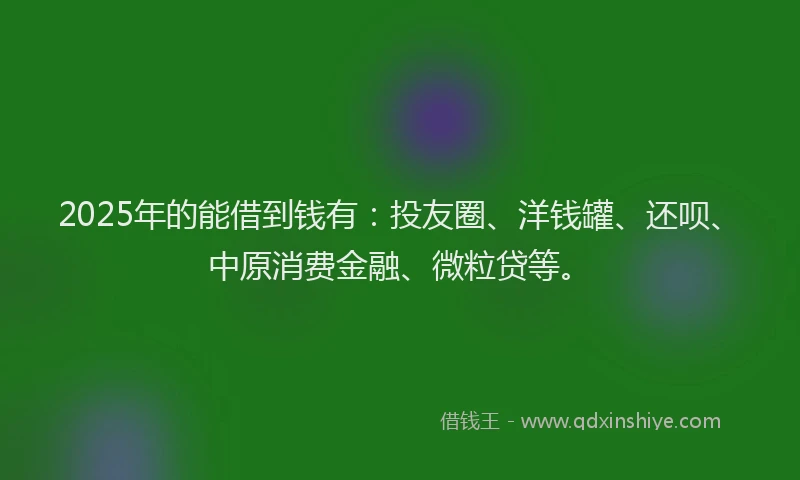 2025年的能借到钱有：投友圈、洋钱罐、还呗、中原消费金融、微粒贷等。