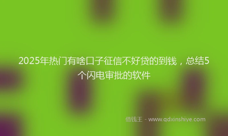 2025年热门有啥口子征信不好贷的到钱，总结5个闪电审批的软件