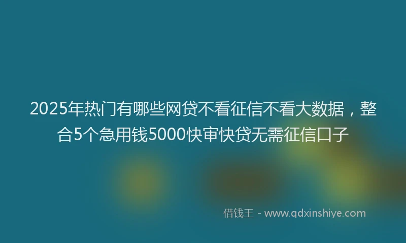 2025年热门有哪些网贷不看征信不看大数据，整合5个急用钱5000快审快贷无需征信口子