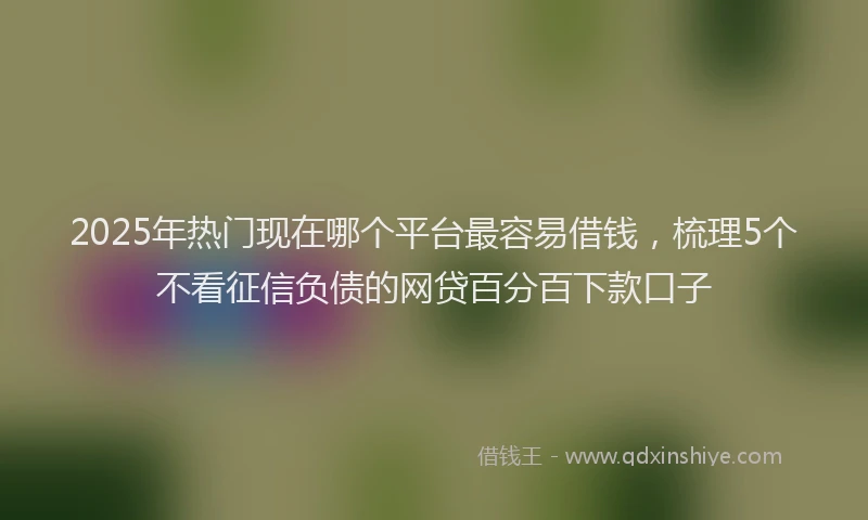 2025年热门现在哪个平台最容易借钱，梳理5个不看征信负债的网贷百分百下款口子