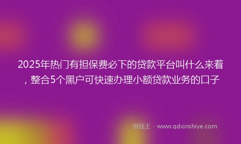 2025年热门有担保费必下的贷款平台叫什么来着，整合5个黑户可快速办理小额贷款业务的口子