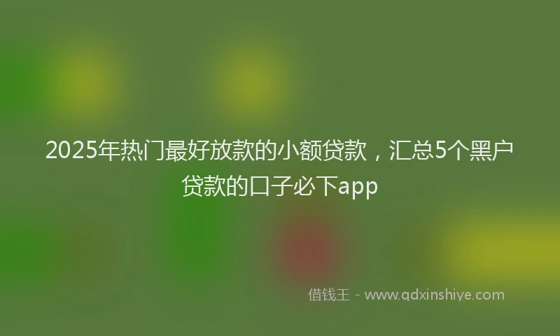 2025年热门最好放款的小额贷款，汇总5个黑户贷款的口子必下app