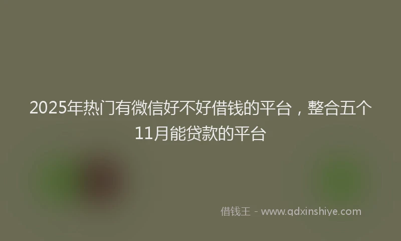 2025年热门有微信好不好借钱的平台，整合五个11月能贷款的平台