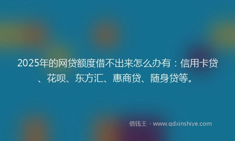 2025年的网贷额度借不出来怎么办有：信用卡贷、花呗、东方汇、惠商贷、随身贷等。