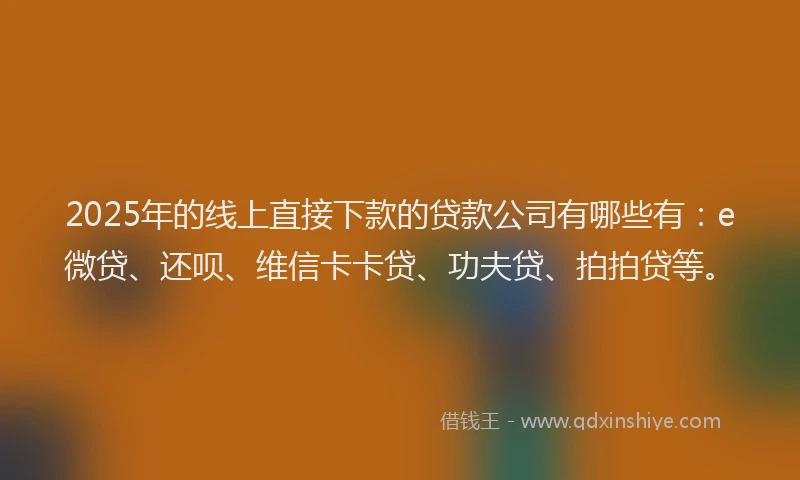 2025年的线上直接下款的贷款公司有哪些有：e微贷、还呗、维信卡卡贷、功夫贷、拍拍贷等。