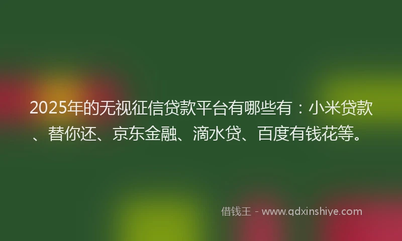 2025年的无视征信贷款平台有哪些有：小米贷款、替你还、京东金融、滴水贷、百度有钱花等。