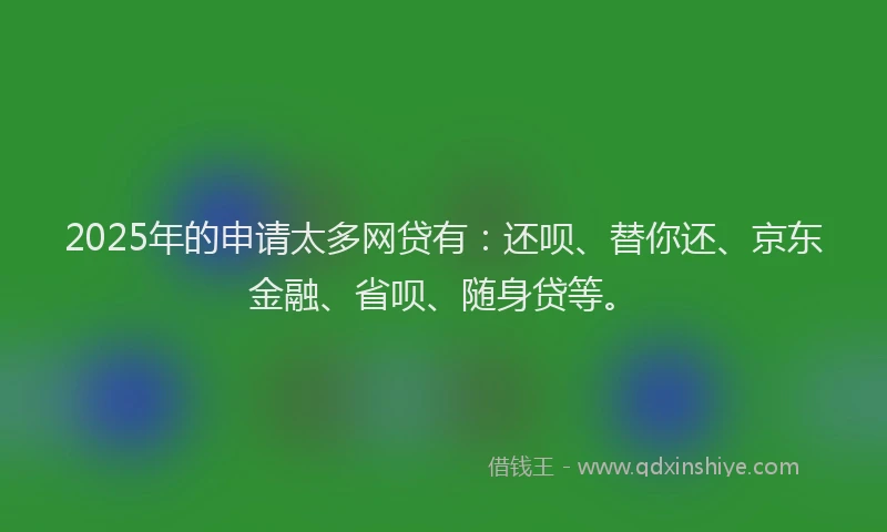 2025年的申请太多网贷有：还呗、替你还、京东金融、省呗、随身贷等。