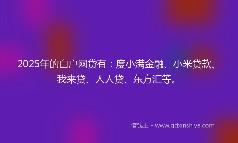 2025年的白户网贷有：度小满金融、小米贷款、我来贷、人人贷、东方汇等。