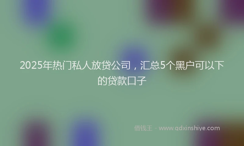 2025年热门私人放贷公司，汇总5个黑户可以下的贷款口子