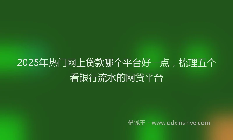 2025年热门网上贷款哪个平台好一点，梳理五个看银行流水的网贷平台