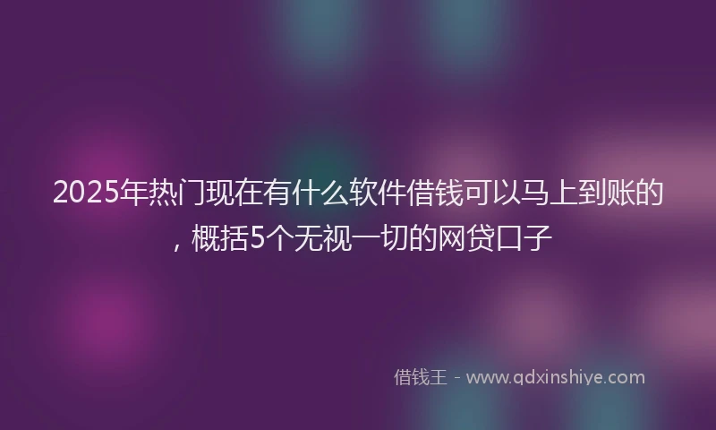 2025年热门现在有什么软件借钱可以马上到账的，概括5个无视一切的网贷口子