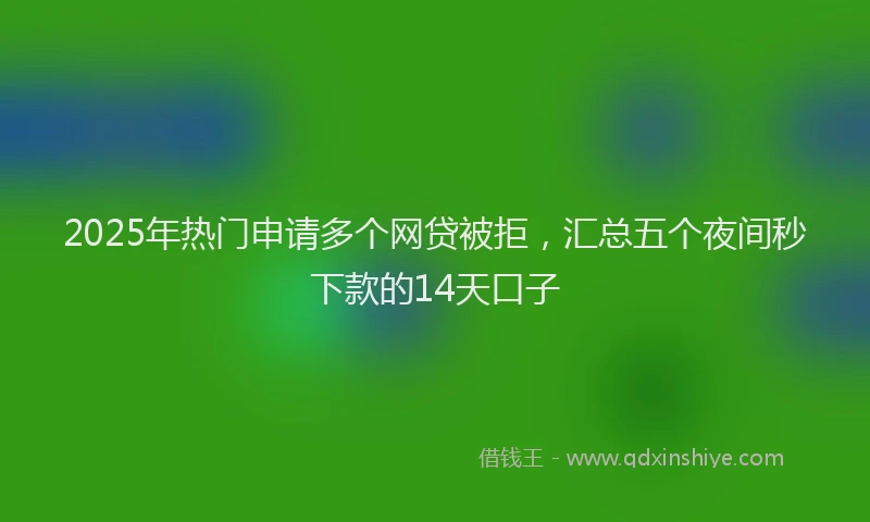 2025年热门申请多个网贷被拒，汇总五个夜间秒下款的14天口子