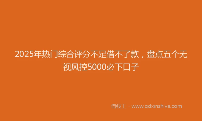 2025年热门综合评分不足借不了款，盘点五个无视风控5000必下口子