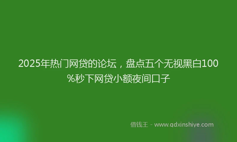 2025年热门网贷的论坛，盘点五个无视黑白100%秒下网贷小额夜间口子