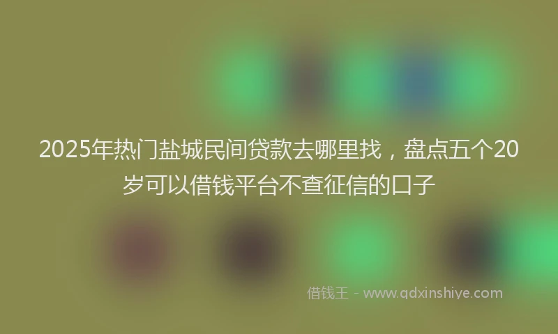 2025年热门盐城民间贷款去哪里找，盘点五个20岁可以借钱平台不查征信的口子