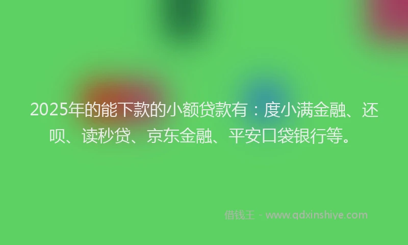 2025年的能下款的小额贷款有：度小满金融、还呗、读秒贷、京东金融、平安口袋银行等。
