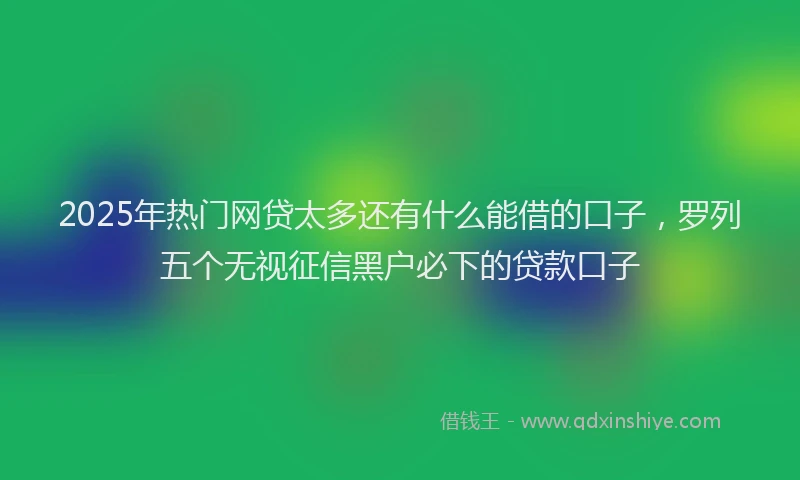 2025年热门网贷太多还有什么能借的口子，罗列五个无视征信黑户必下的贷款口子