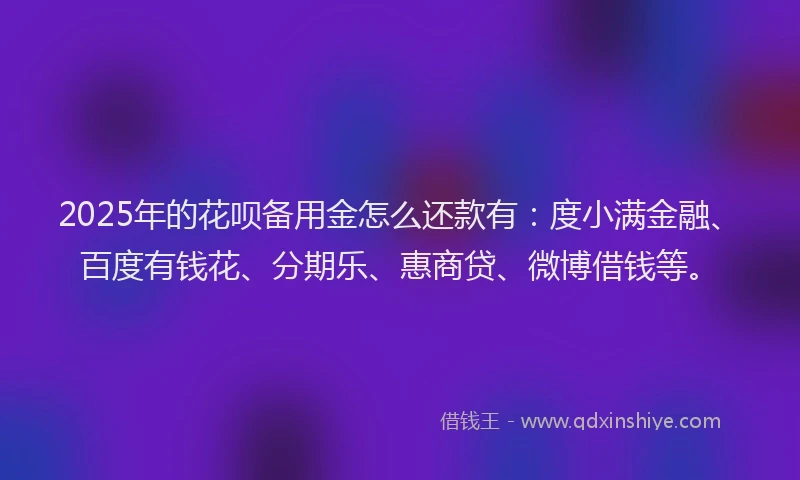 2025年的花呗备用金怎么还款有：度小满金融、百度有钱花、分期乐、惠商贷、微博借钱等。