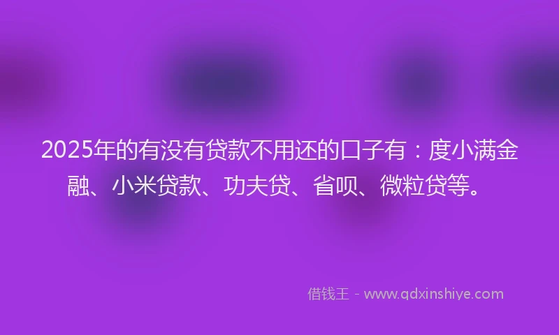 2025年的有没有贷款不用还的口子有：度小满金融、小米贷款、功夫贷、省呗、微粒贷等。