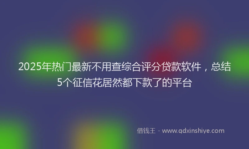 2025年热门最新不用查综合评分贷款软件，总结5个征信花居然都下款了的平台