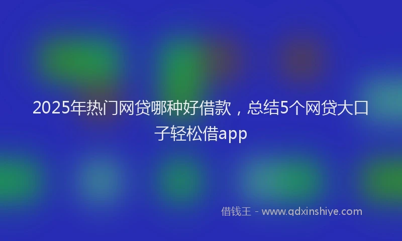 2025年热门网贷哪种好借款，总结5个网贷大口子轻松借app