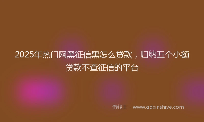 2025年热门网黑征信黑怎么贷款，归纳五个小额贷款不查征信的平台