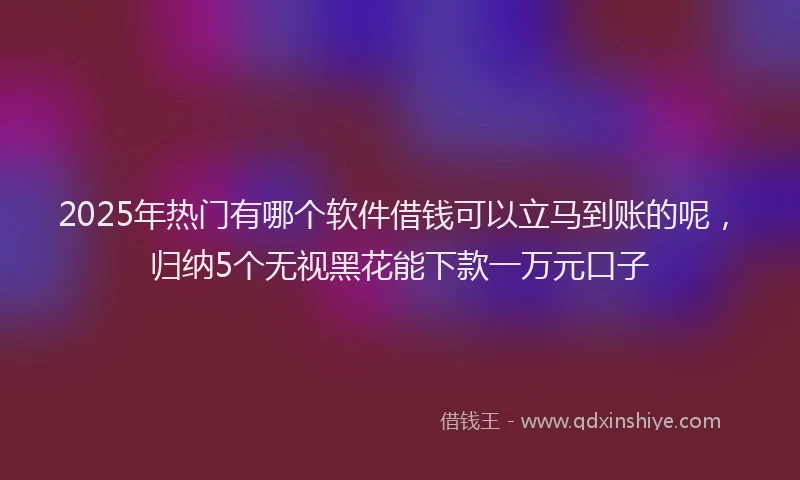2025年热门有哪个软件借钱可以立马到账的呢，归纳5个无视黑花能下款一万元口子