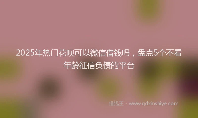2025年热门花呗可以微信借钱吗，盘点5个不看年龄征信负债的平台
