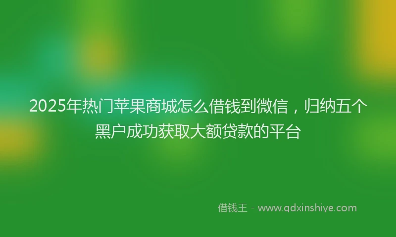 2025年热门苹果商城怎么借钱到微信，归纳五个黑户成功获取大额贷款的平台