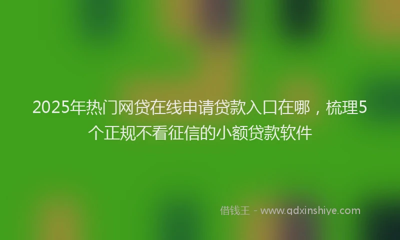 2025年热门网贷在线申请贷款入口在哪，梳理5个正规不看征信的小额贷款软件