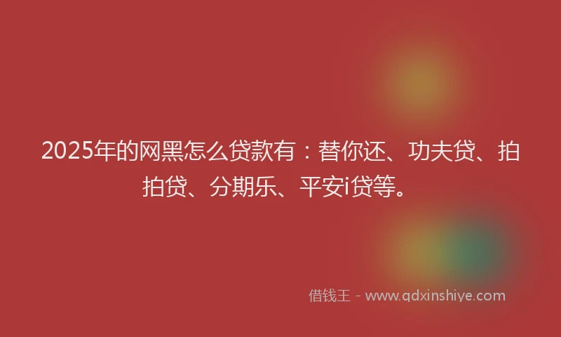 2025年的网黑怎么贷款有：替你还、功夫贷、拍拍贷、分期乐、平安i贷等。