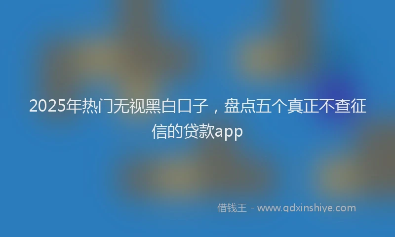 2025年热门无视黑白口子，盘点五个真正不查征信的贷款app