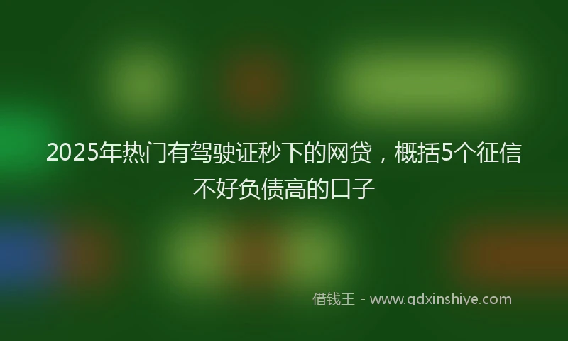2025年热门有驾驶证秒下的网贷，概括5个征信不好负债高的口子