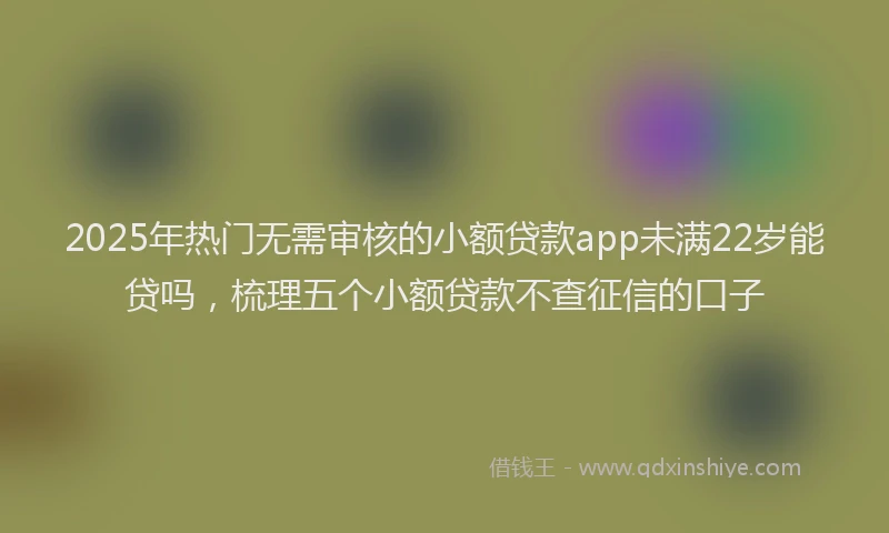 2025年热门无需审核的小额贷款app未满22岁能贷吗，梳理五个小额贷款不查征信的口子