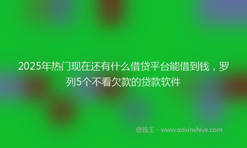 2025年热门现在还有什么借贷平台能借到钱，罗列5个不看欠款的贷款软件