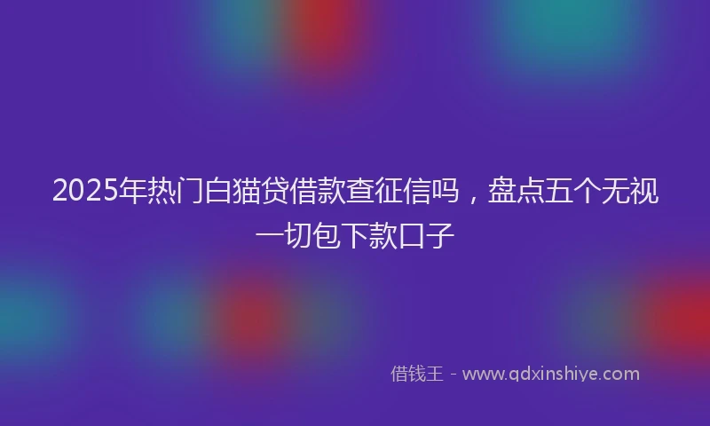 2025年热门白猫贷借款查征信吗，盘点五个无视一切包下款口子