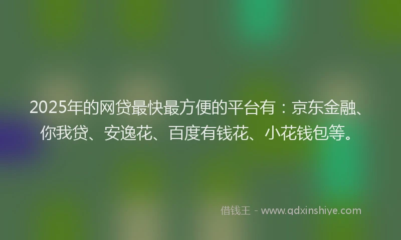 2025年的网贷最快最方便的平台有：京东金融、你我贷、安逸花、百度有钱花、小花钱包等。